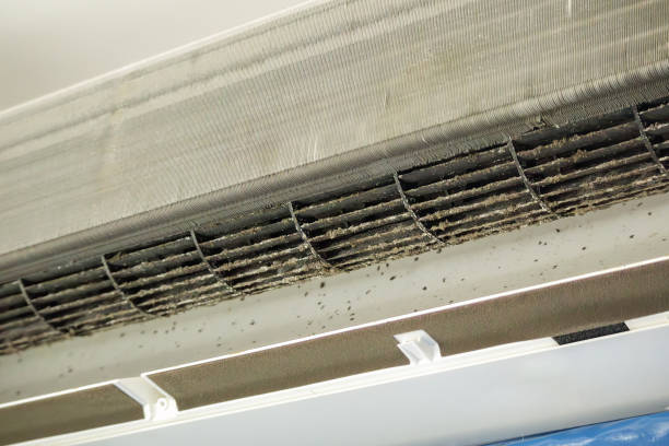 Best Affordable HVAC Duct Cleaning  in Hilton Head Island, SC